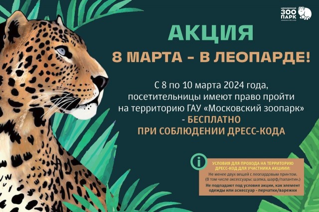 Леопардовая тема
