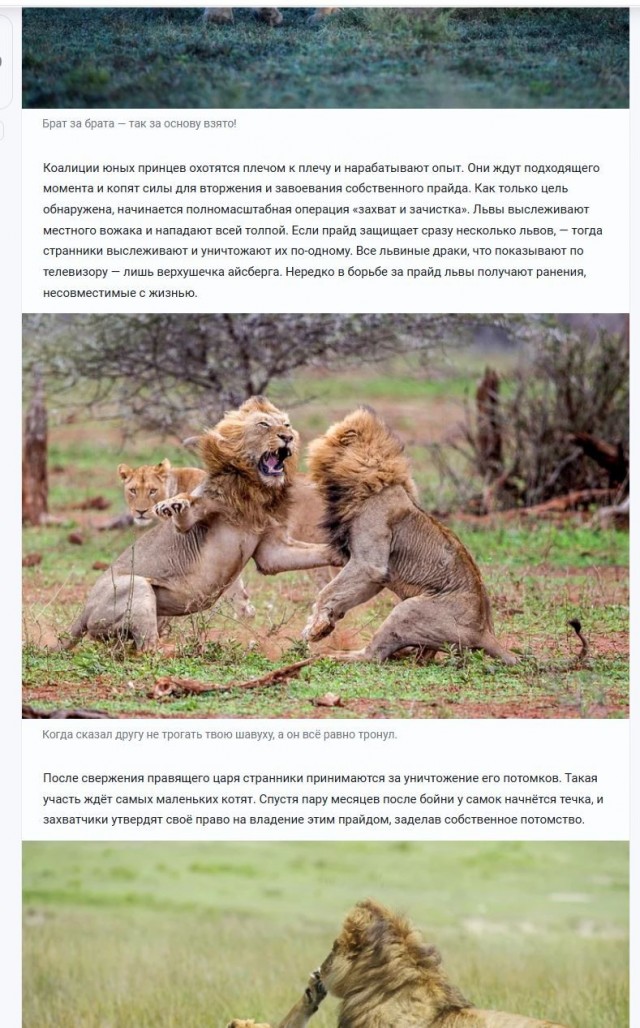 Жестокие убийцы и тайные ОПГ