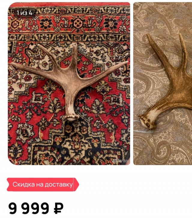 Среды картинки