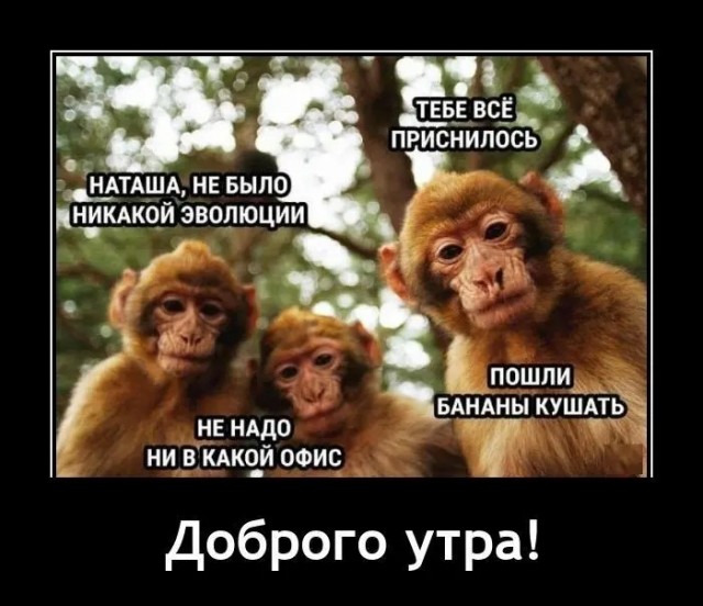 На их месте должны быть мы...