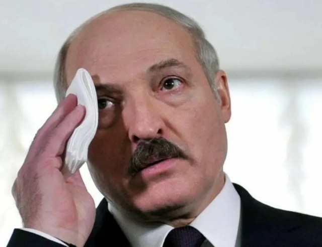 Лукашенко рассказал о встрече с представителями Зеленского и назвал Силы ТрО ВСУ «механизаторами и доярками»