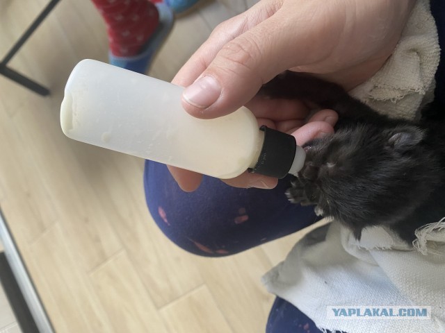 Камрады, пожелайте удачи и терпения