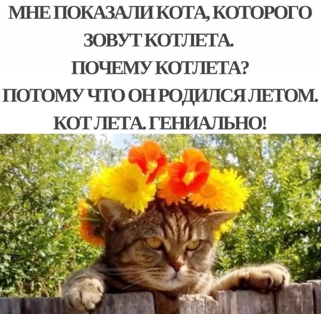 Котлета