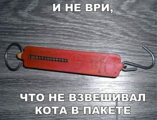 Веселое настроение в картинках 14.08.26