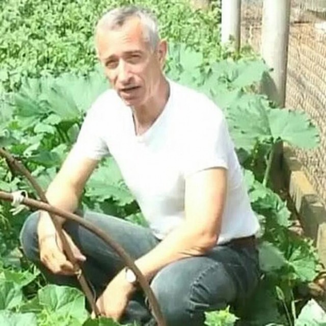 Как суббота, ЯП?