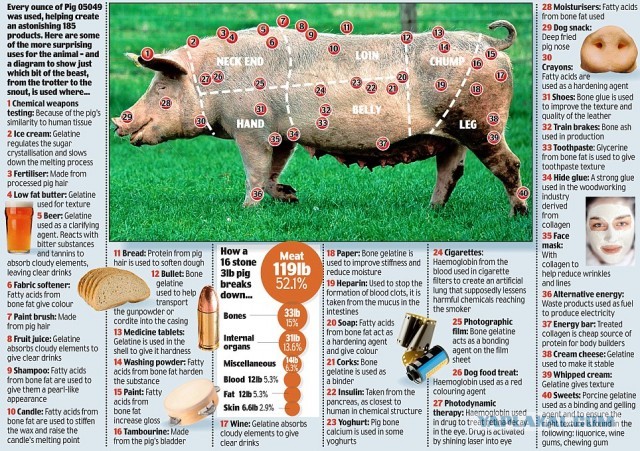 Ужин для вегетарианцев