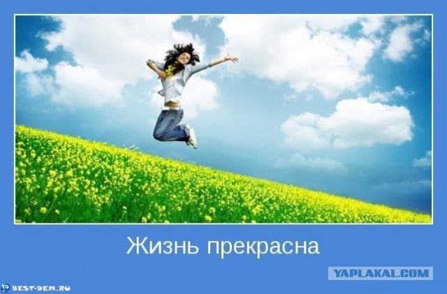 Когда вы плюсуeтe тему в платине