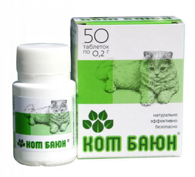 У кого кошка/кот ? HELP!