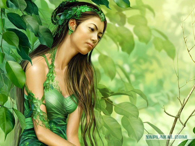 Плюсомет со шпалометом