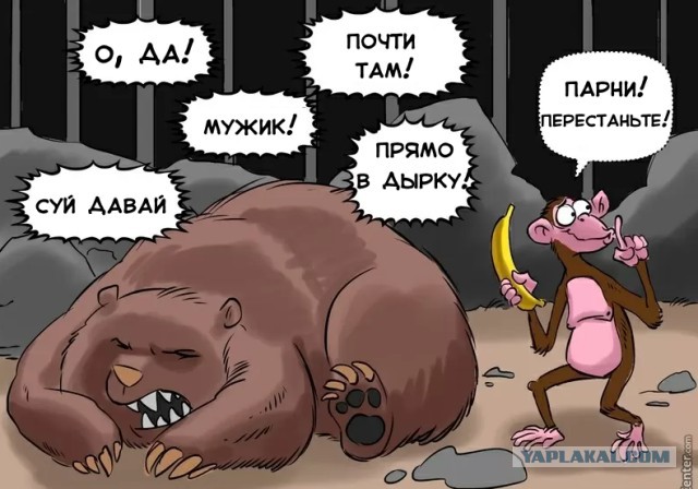 Стыд и гордость