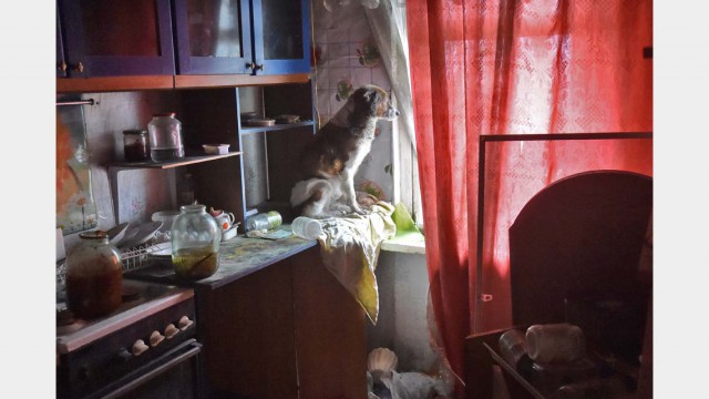 Лучшие фотографии газеты «Ъ» 2014 года