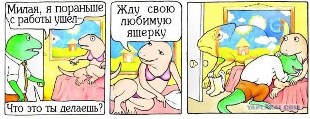 Семейные тайны хамелеонов