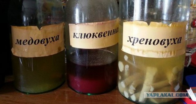 Поездка в Зону Отчуждения