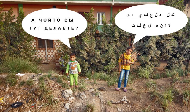 Египет без гидов VI