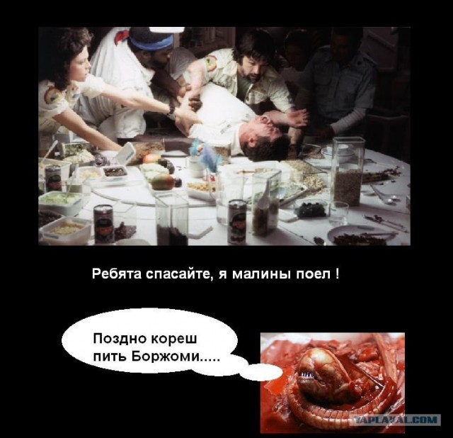 Почему надо мыть фрукты перед едой