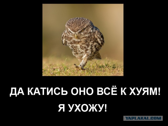 О равенстве полов