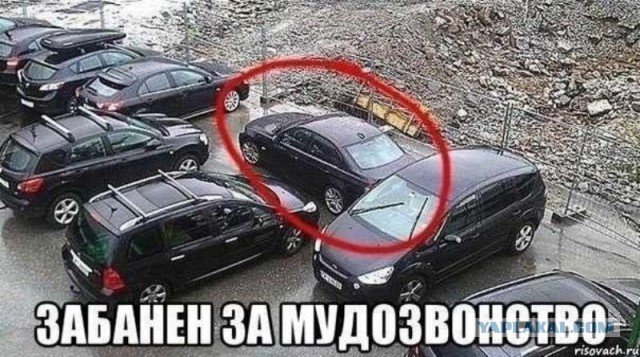 Я паркуюсь как хочу
