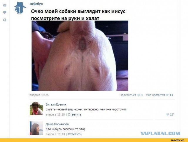Ужасы и приколы из соцсетей 18+