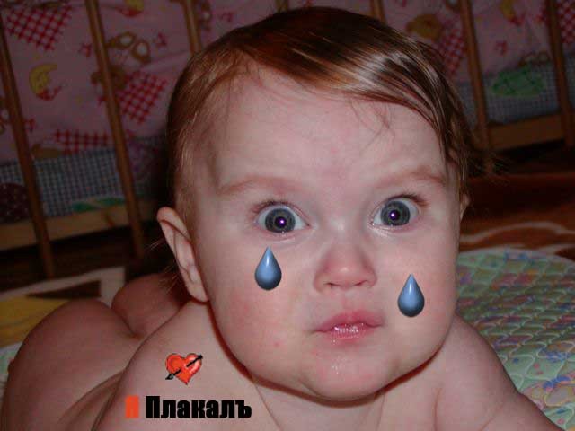 День Рождения ЯП