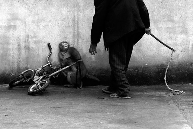 Немцы голосуют за фото года на Facebook