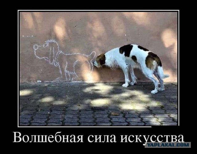 Фотоприколы