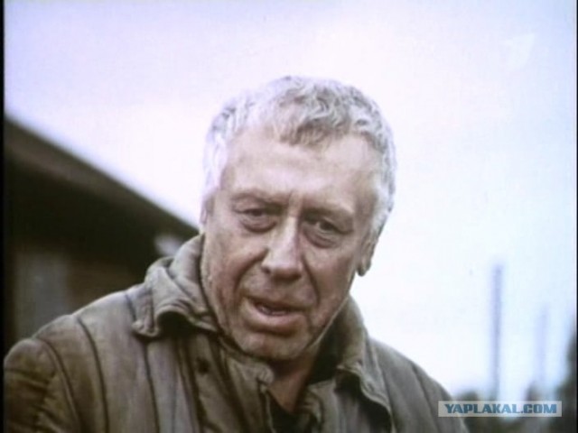 Знаменитости, которые умерли на глазах у зрителей.