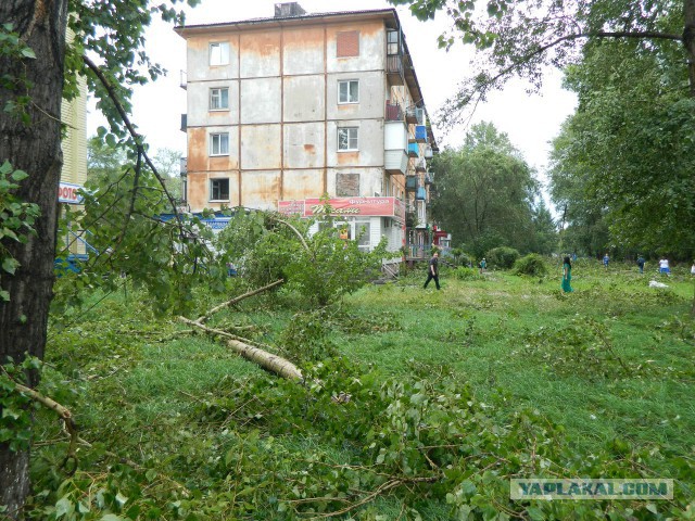 Ураган в Омске