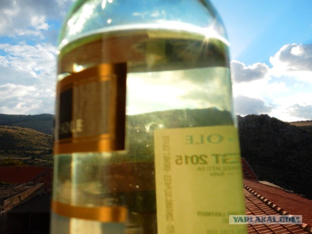 Мировая кулинария. День повара