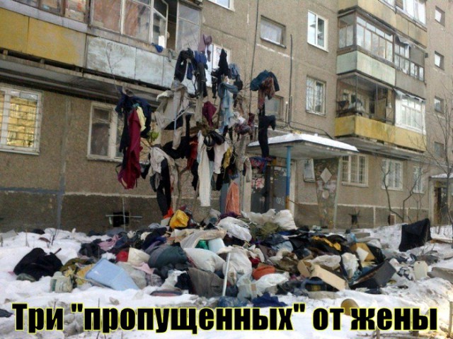 Прикольные картинки