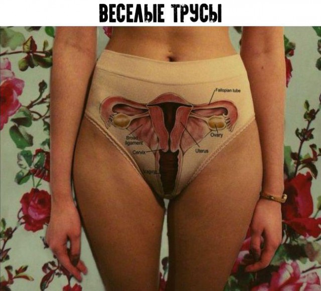 Прикольные картинки обо всём