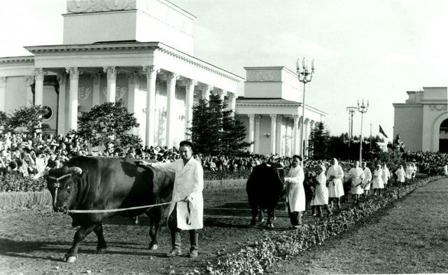 Чёрно-белое прошлое