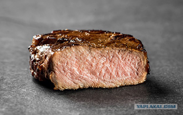 Недосуг(к) или про каклеты