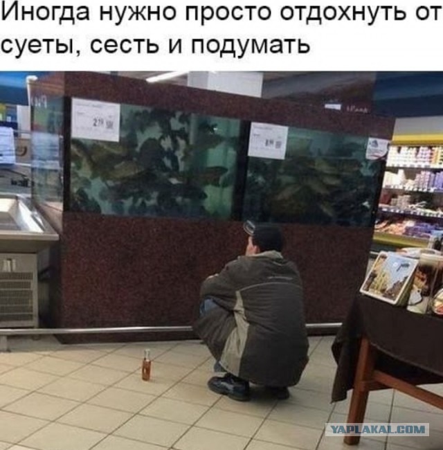 Аквариум в каждый дом!