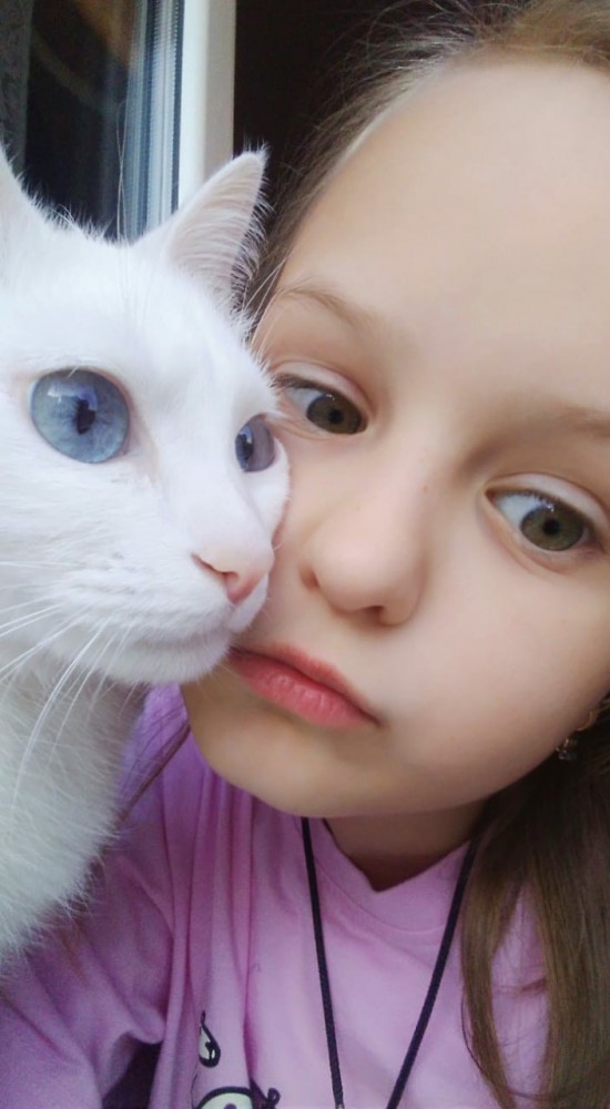Кот с самыми красивыми глазами в мире стал интернет-звездой