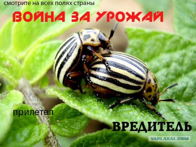 Да придет смеситель!