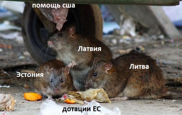 Тихановская выступит перед Совбезом ООН