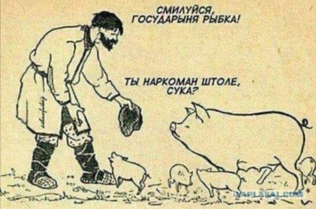 Чепухень на каждый день