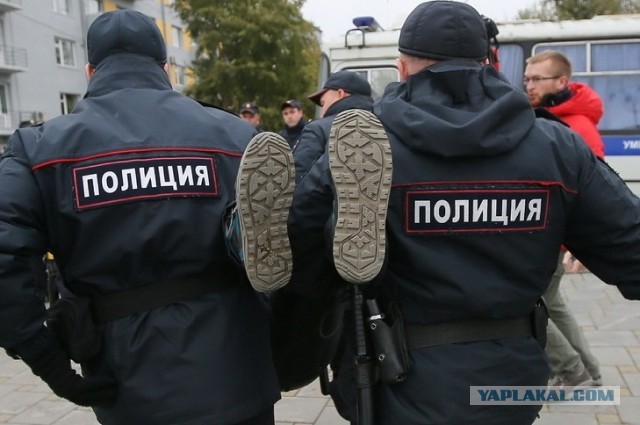 Петербуржца задержали за оскорбительный комментарий в адрес прокурора, пытавшегося лишить пенсионерок права на землю в Шиесе.
