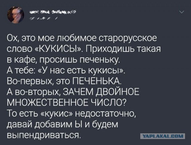 Бредзона 03.03.2021