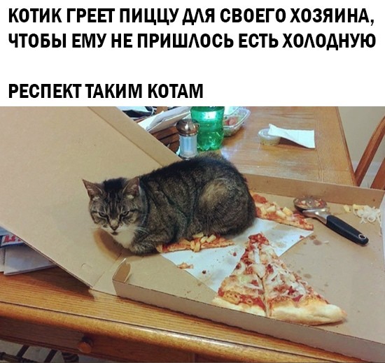 Весёлый полтишок 12.03