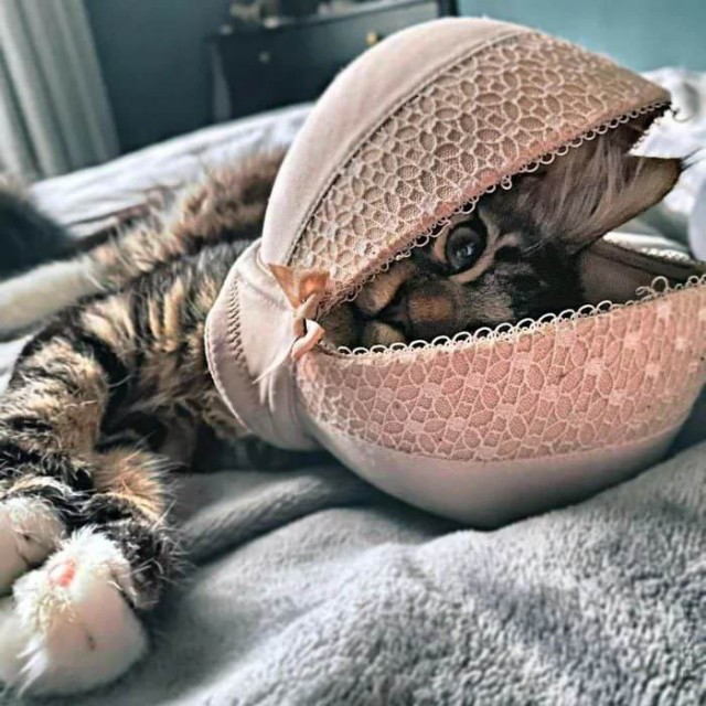 Картинки и мемы для настроения 19.05.2021