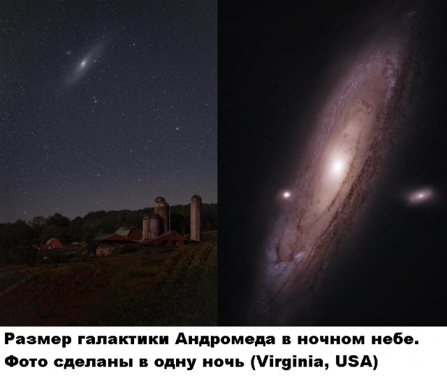 Так себе картинки 10.10.21