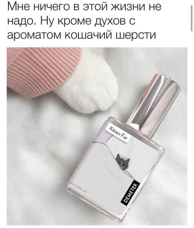 Так себе картинки 09.11.21