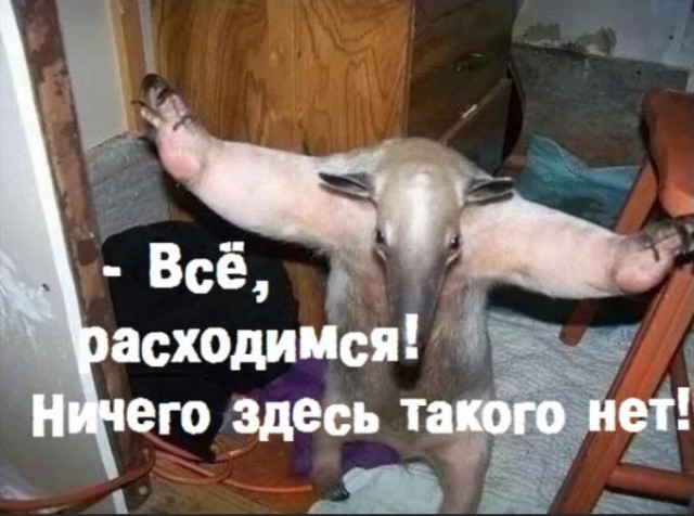 В Москве избили олимпийского чемпиона Дмитрия Соловьёва