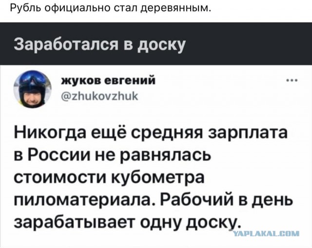 Запрет на вывоз русского леса заработал. Европа взвыла и начала жаловаться в ВТО