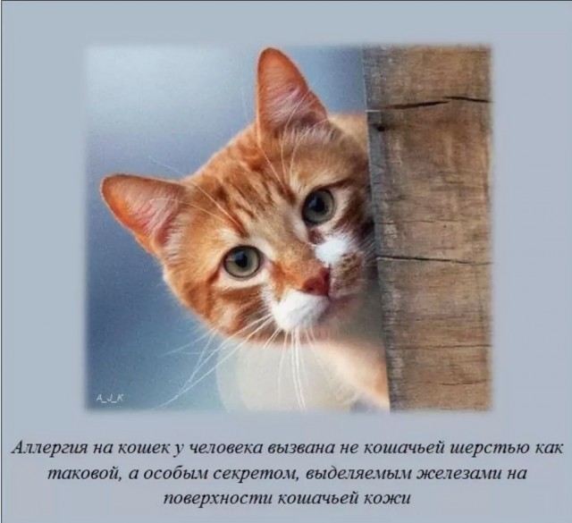 70 удивительных фактов