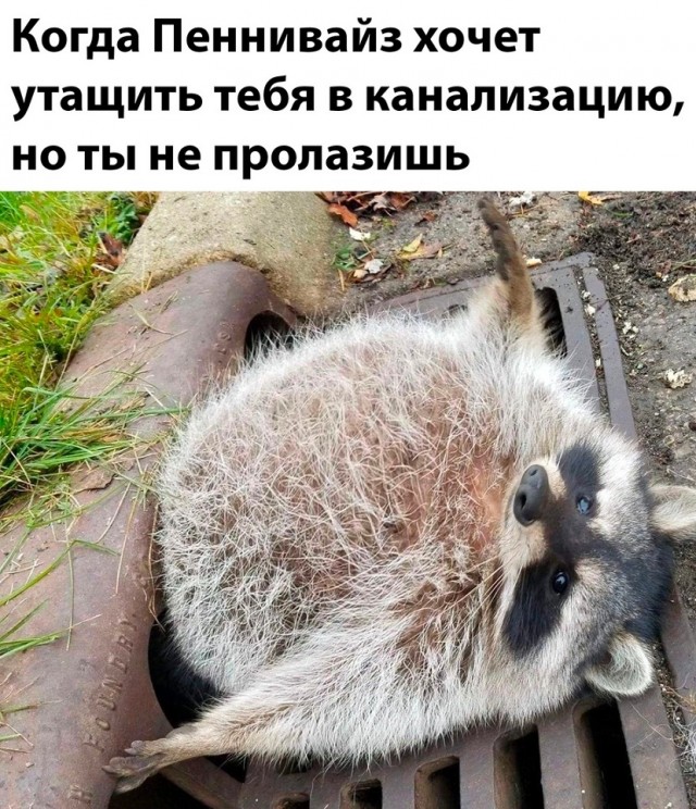 Так себе картинки 14.05.22