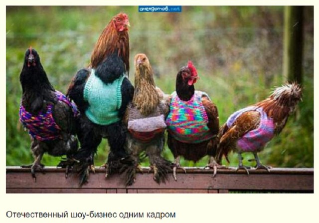 Немного картинок для настроения - 127