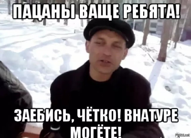 В мире животных