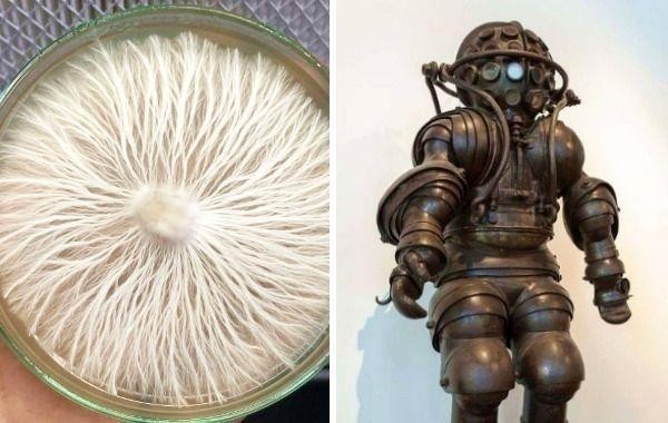 15 познавательных фото, пропустить/проигнорировать которые — значит не узнать что-то новое